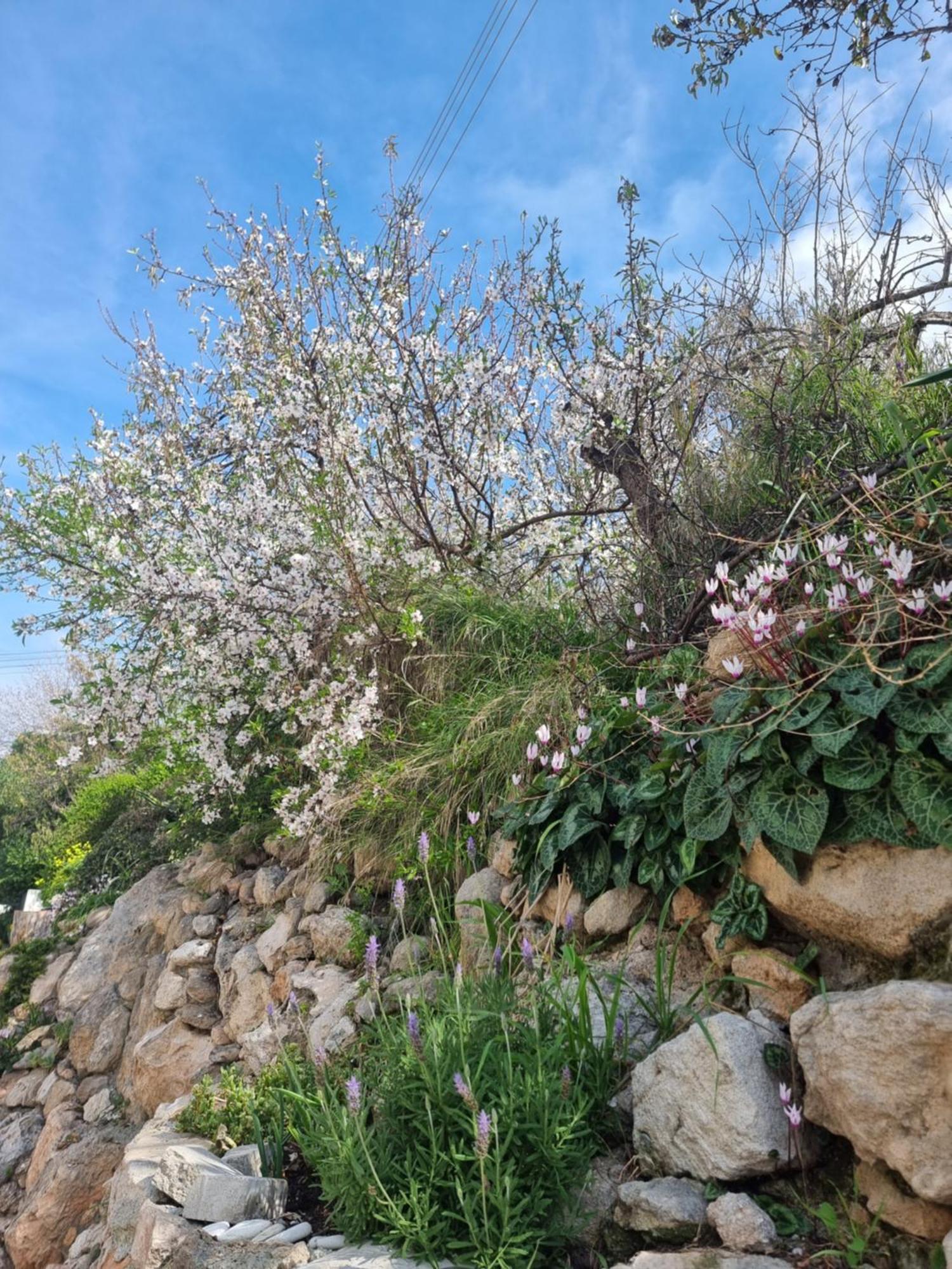 Mediterranean Valley Paphos ภายนอก รูปภาพ